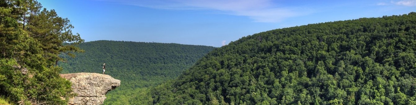 A Still Point Cabin and HOT TUB!